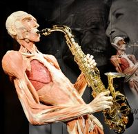 Body_Worlds_WBP_Saxophone.jpg